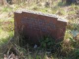 image of grave number 319676